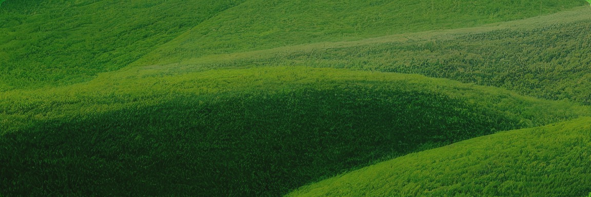 头等玩家官网-相信品牌力量