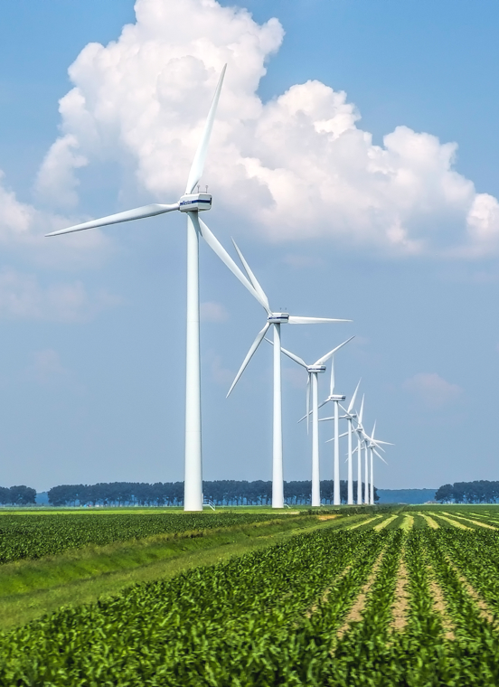 头等玩家官网-相信品牌力量